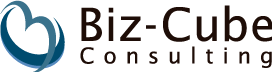 Biz-Cube consulting