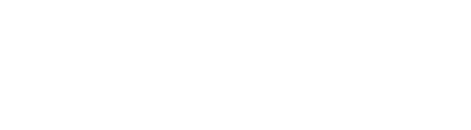 Biz-Cube consulting